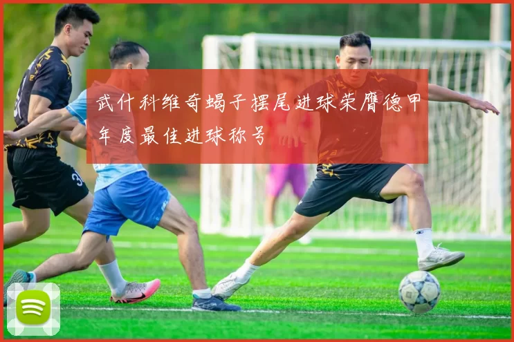 武什科维奇蝎子摆尾进球荣膺德甲年度最佳进球称号