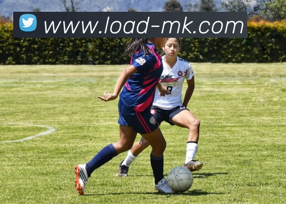 MK体育发展历程